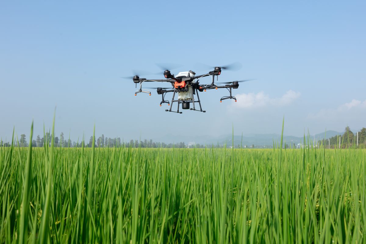 Dji Introduces Agras T Drone For Agricultural Spraying Highways Today