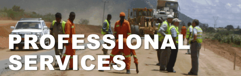 Professional Services Professional Services