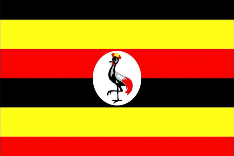 Upcoming Project: Road Sector Support Project V, Kampala, Uganda