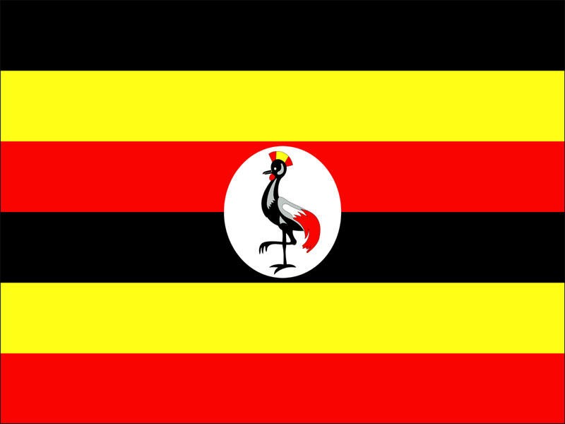 Upcoming Project: Road Sector Support Project V, Kampala, Uganda