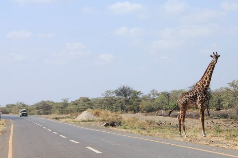 Tanzania’s Magole to Turiani Highway will be completed on time