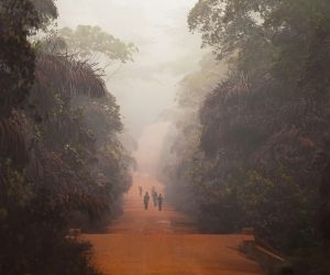 Cameroon Dirt Road