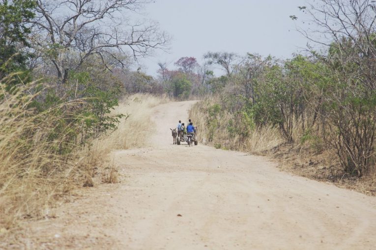 World Bank approves US$200 Million for rural roads in Zambia