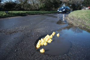 Duck in Pothole Index DIPI by Ashley Basil