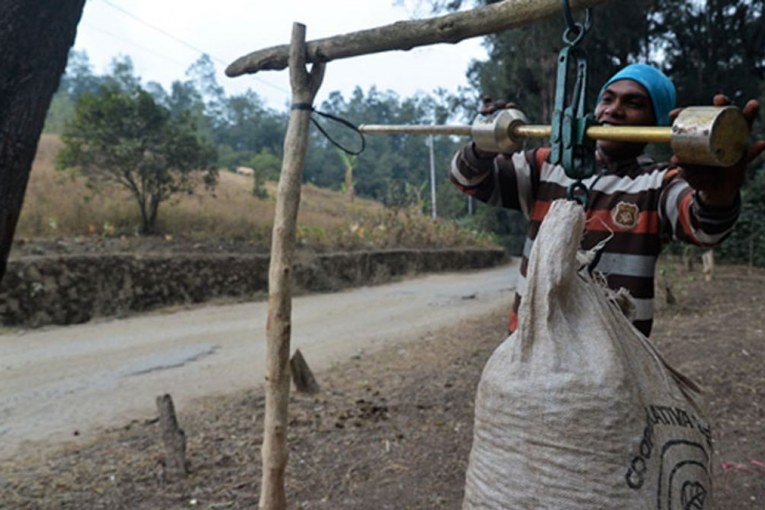 Timor-Leste: A safer highway means a better cup of coffee