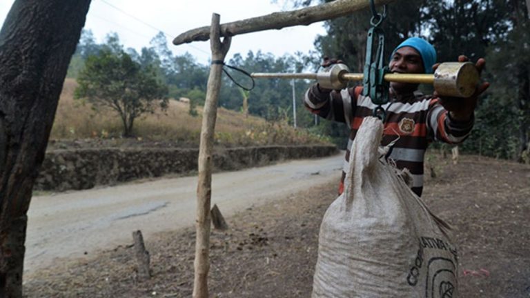 Timor-Leste: A safer highway means a better cup of coffee