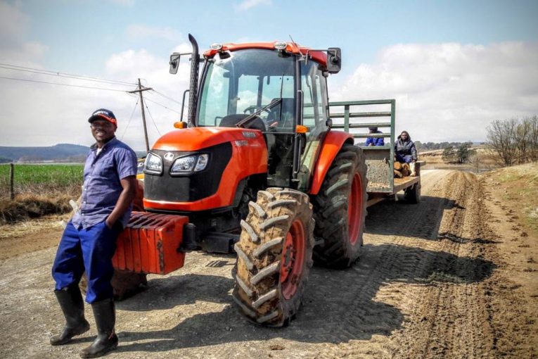 KZN dairy farm in KwaZulu reaps the rewards of a Kubota tractor