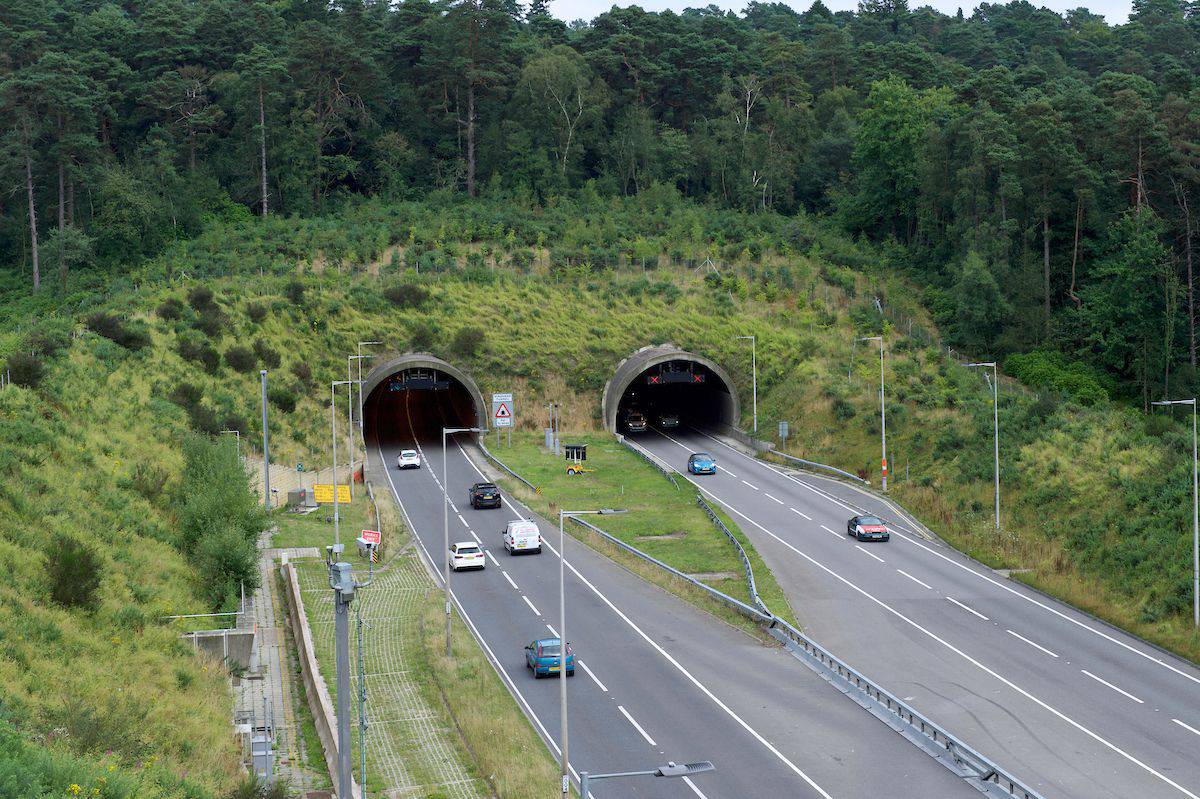 Anniversary of tunnel opening sees the Hindhead area recognised as a wildlife haven