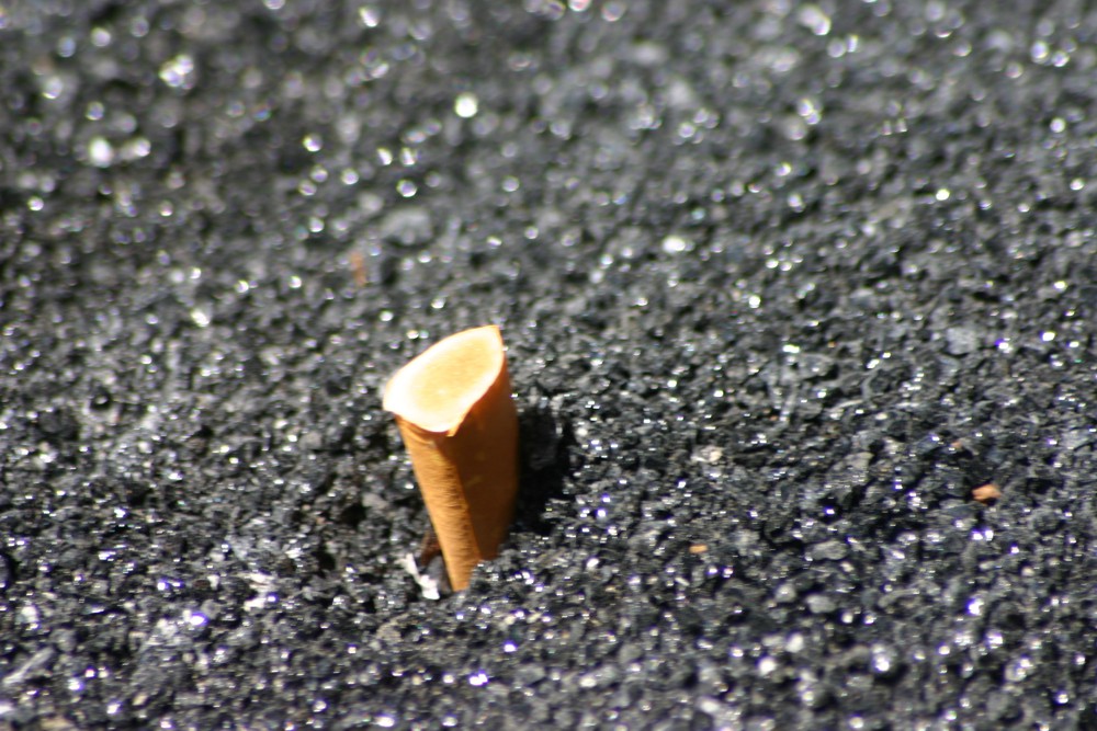 Streets could literally be paved with cigarette butts