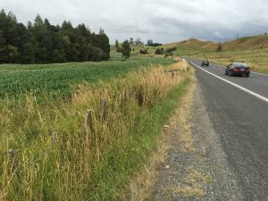 Safety work begins on busy Waikato Highway in New Zealand