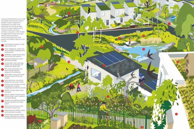 The Wildlife Trusts releases guidelines call for homes, people and wildlife