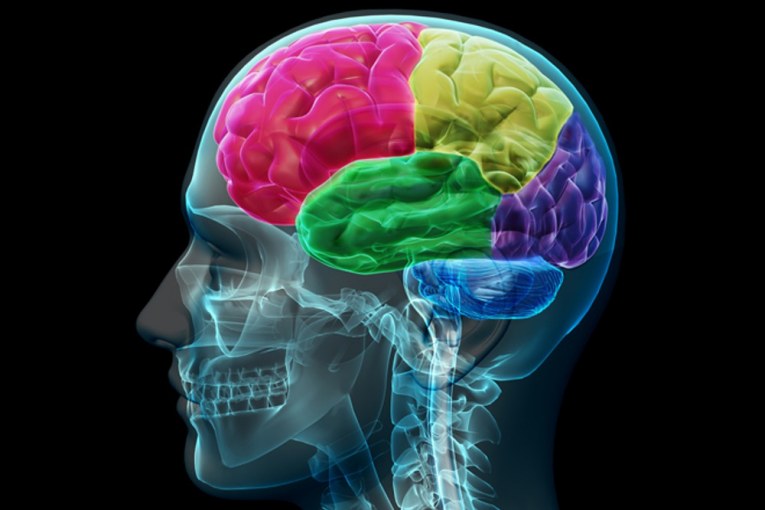 MIT Intelligence Quest looks to drive positive influences on virtually every aspect of society