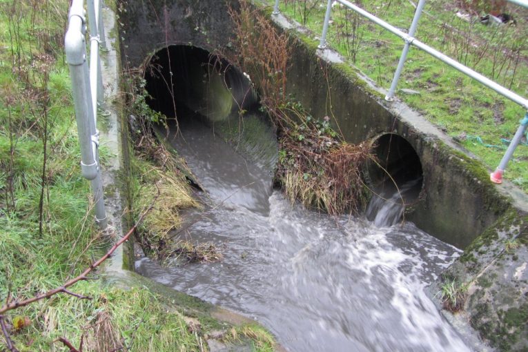 EA Water Quality Report highlights inaction on Runoff Pollution
