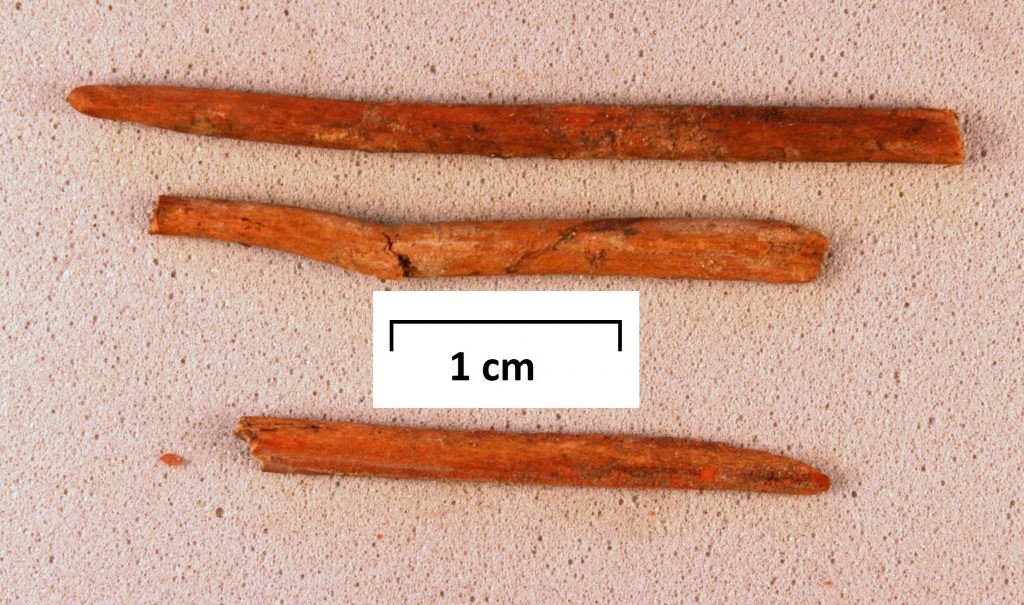 Ancient Maaori comb fragment found during New Zealand road construction