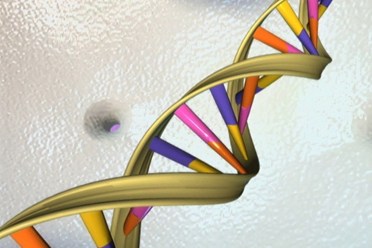 MIT Chemical Engineers discover how to control knots that form in DNA molecules