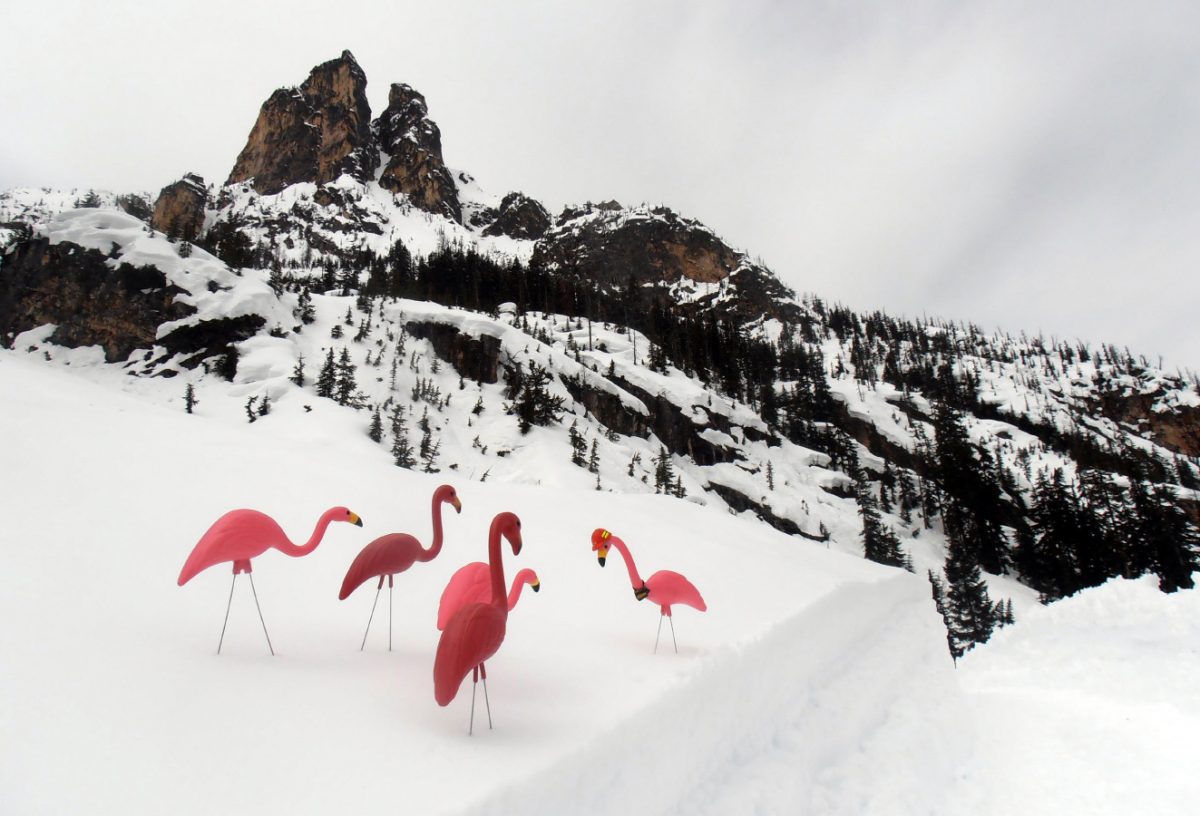 Plastic flamingos and kites keep Washington State Pass clearing crews safe - and entertained