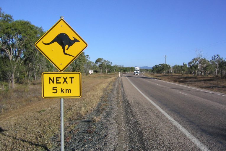 Tenders called for more Bruce Highway safety works in Australia