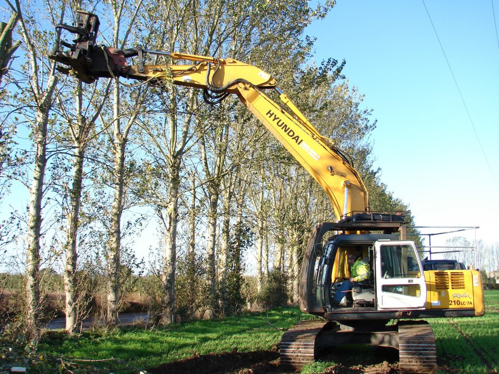 Hyundai excavators not stumped by thriving forestry business