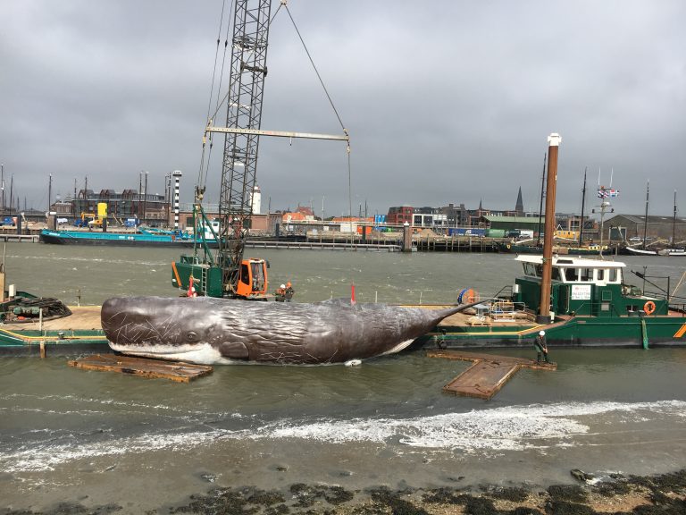 An experienced team: the SENNEBOGEN crawler crane 1100E and De Boer & De Groot's crane ship "DURK"