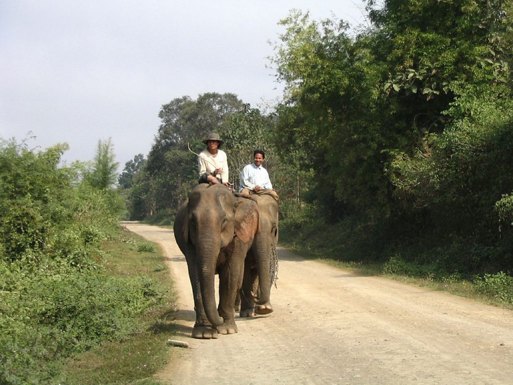 Laos Rural Road - Photo by Angie