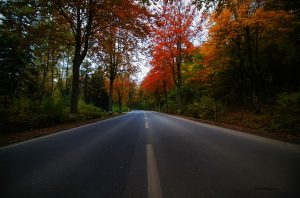 Autumn Road - Photo by Fan D