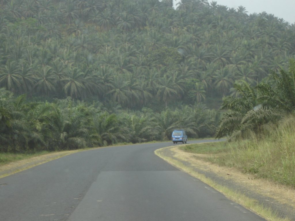 Cameroon - Photo by Elin B