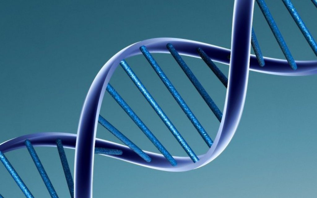 DNA - Image by Caroline Davis