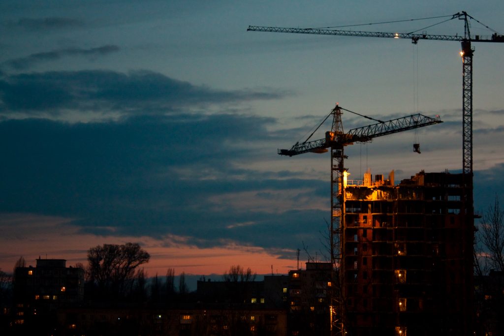 Cranes - Photo by Vladimir Agafonkin