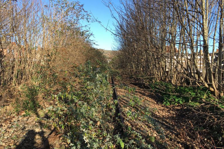 Network Rail to give new lease of life to disused Kent railway line