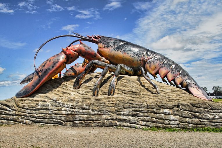 MIT inspired by a Lobster's underbelly for the design of tough flexible body armour