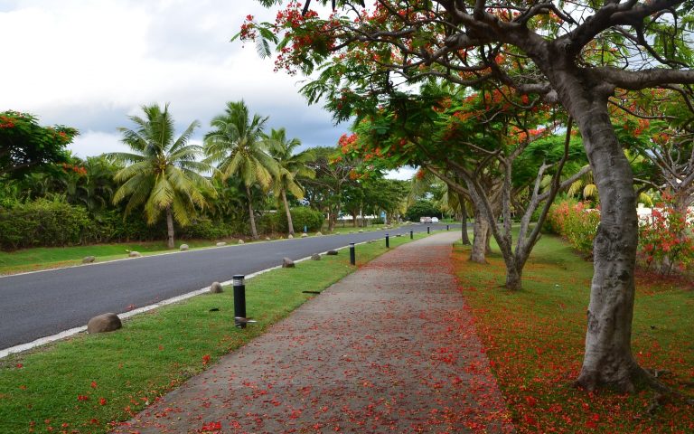 ADB funded roads in Fiji helping to revive their rural economy