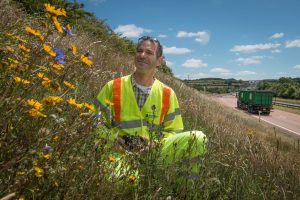 Highways England helps to Get Cumbria Buzzing to make A roads bee friendly