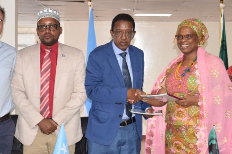 AfDB signs $28.8m grant with Somalia for road and water projects