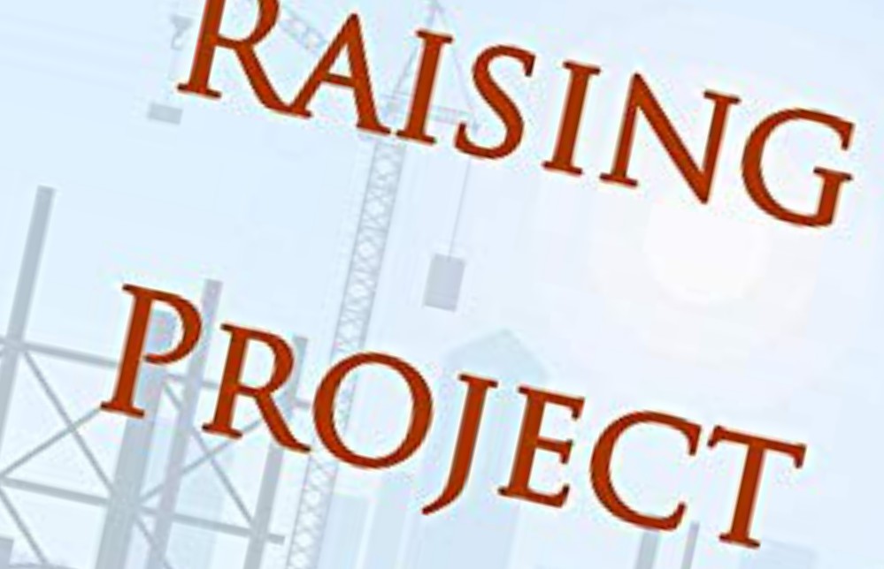 The Raising Project Finance Handbook by David Rose will save time, energy and money