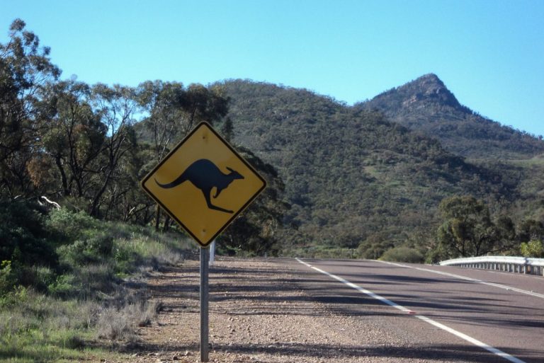 EOI opened for $231m Torrens Road level crossing project in South Australia