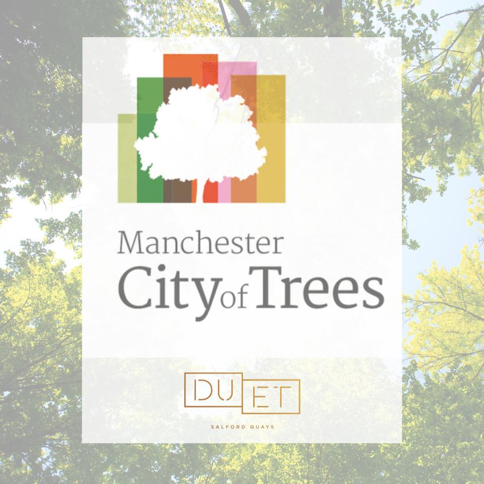 Greater Manchester is set to become greener, as nearly 300 trees are to be planted at Duet Salford Quays (“Duet”), a recently launched More. Build to Rent (“BTR”) development spanning two towers in MediaCityUK. 