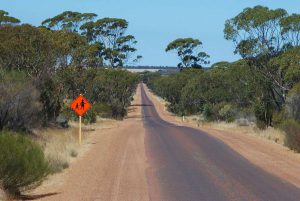 Bussell Highway $85m duplication project gets green light in Western Australia