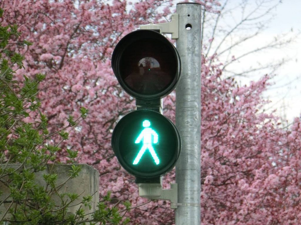 Forecasts predict steady 5 percent growth for Traffic Management System market