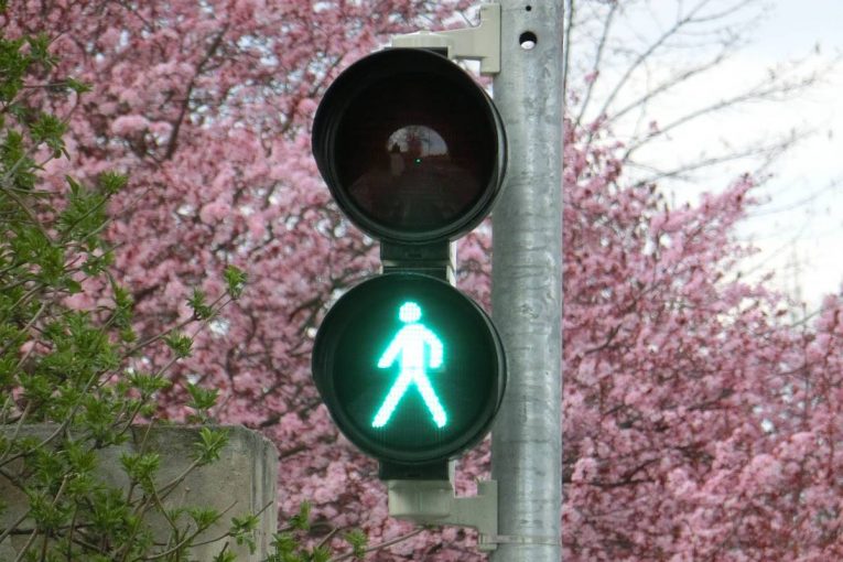Forecasts predict steady 5 percent growth for Traffic Management System market