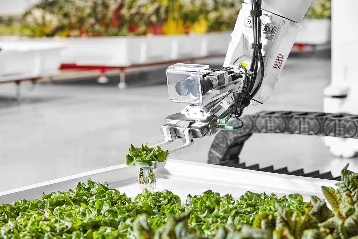 Iron Ox raises $20m for Robotic Greenhouse Technology