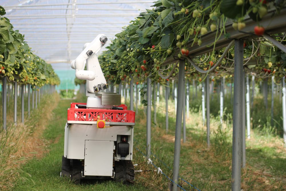 Agri-tech in Cambridgeshire