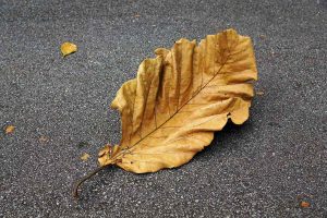 Aggregate Industries launches new improved SuperLow for carbon neutral asphalt