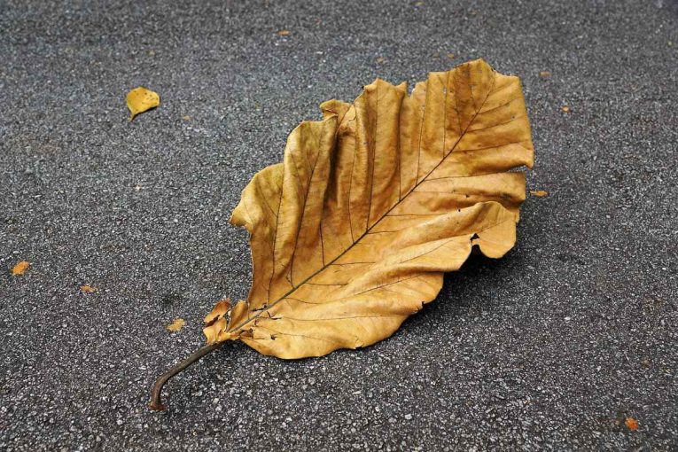 Aggregate Industries launches new improved SuperLow for carbon neutral asphalt