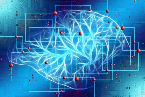 MIT neural network learns to estimate uncertainty in AI-assisted decision-making
