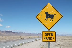 Sterling Construction awarded $35m projects by the Nevada DoT