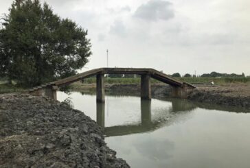 Cintec helps repair historic 500 year old Shanghai Huanqing Bridge in China