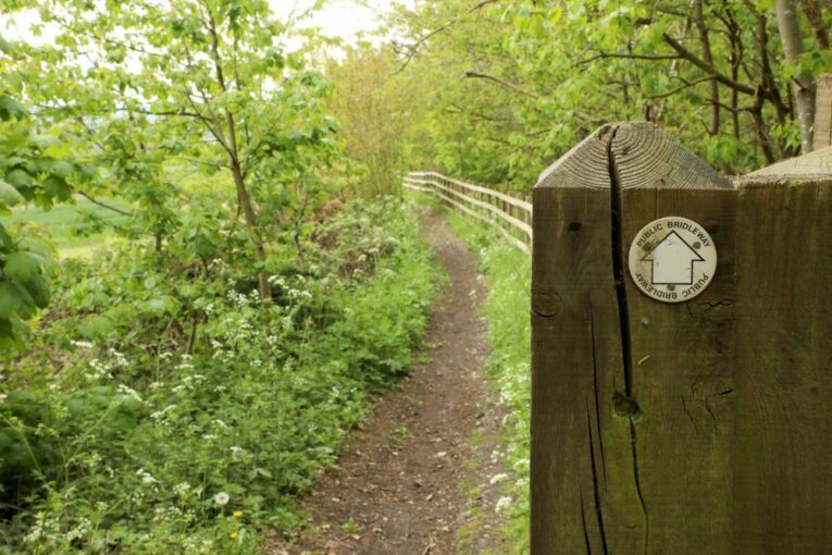 Highways England to create largest community woodland alongside Lower Thames Crossing