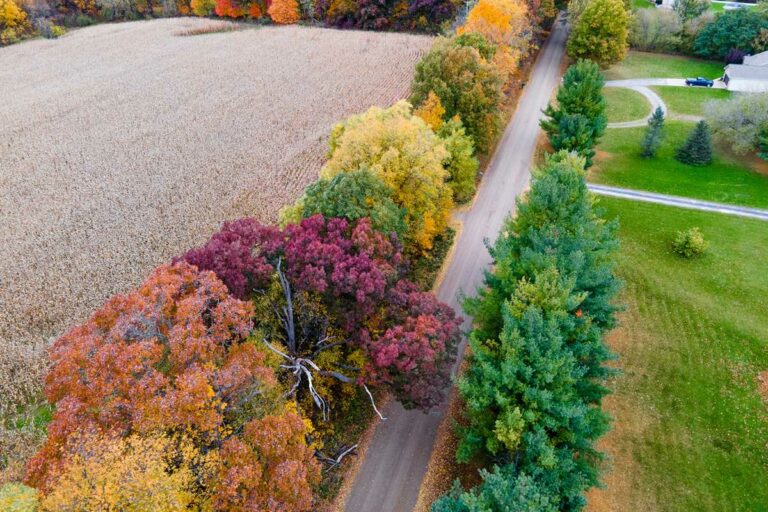 Genesee County uses Substrata's Perma-Zyme to construct limestone unpaved road