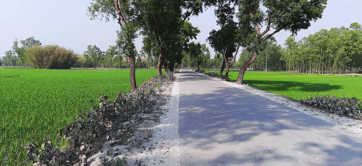 ADB finances $100m Bangladesh Rural Road Network expansion