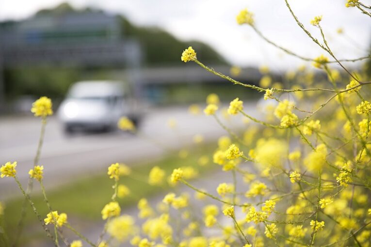 Highways England announces ambitious Net Zero 2050 carbon roadmap